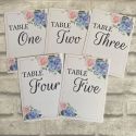 WEDDING TABLE NUMBERS PINK BLUE